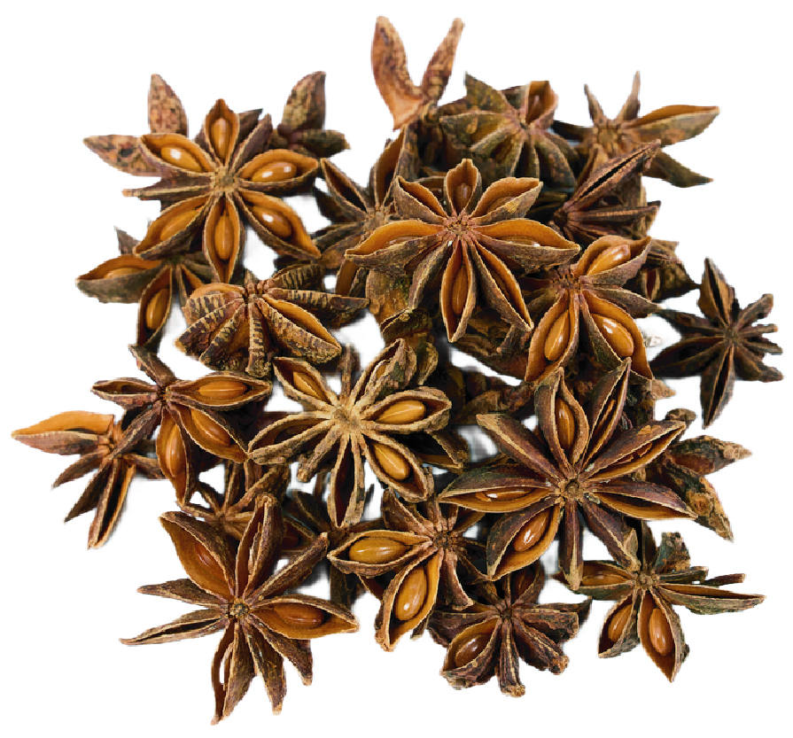 Star Anise