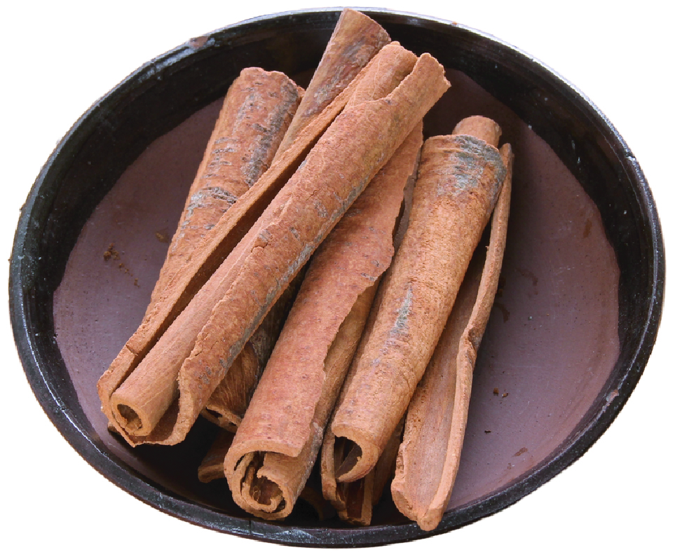 Cassia