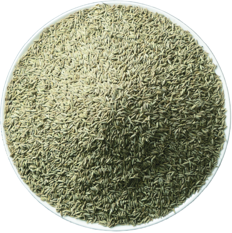 cumin